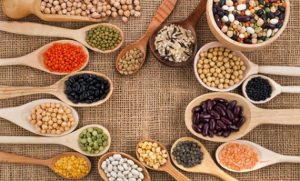 cara usaha pakan burung