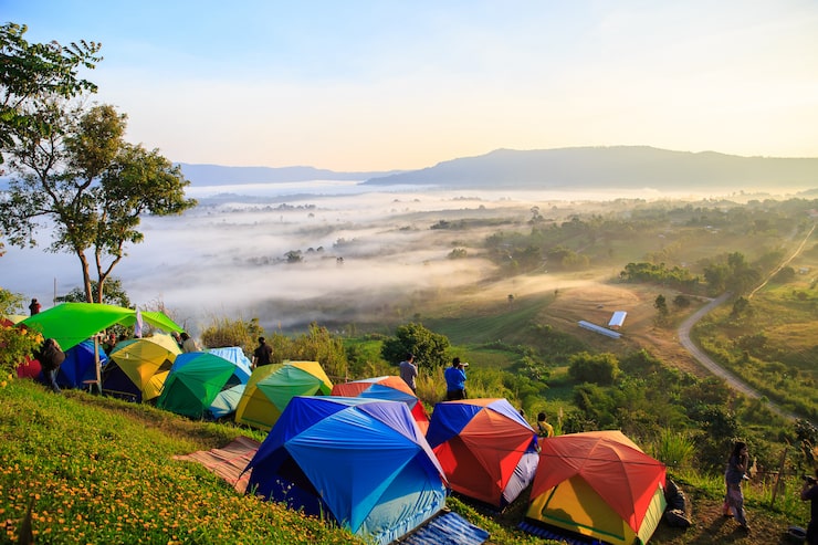 Liburan Seru Bersama Hewan Peliharaan di Lembang
