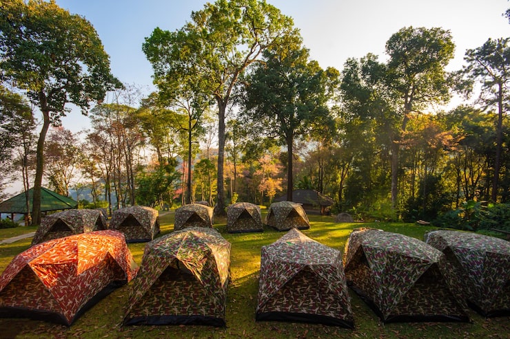 Keindahan Alam Bandung: Tempat Camping yang Menginspirasi Komunitas Alam